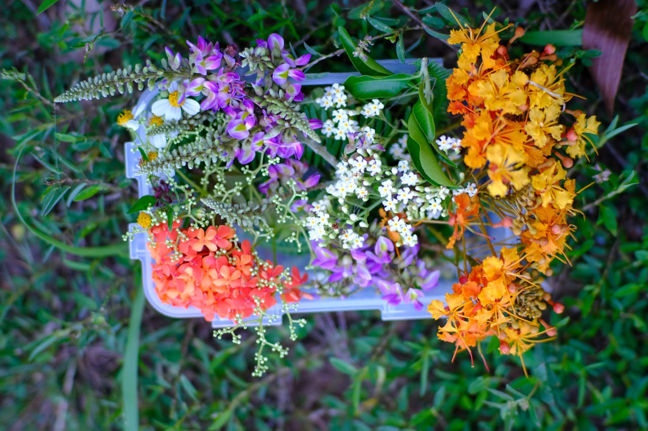 Thám tử lừng danh Conan | Chương 0162