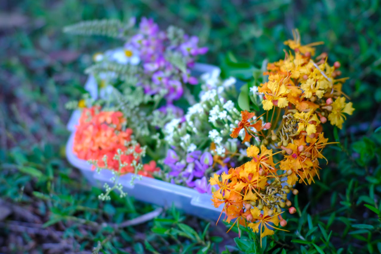 Web3, Blockchain, NFT định hình tương lai internet