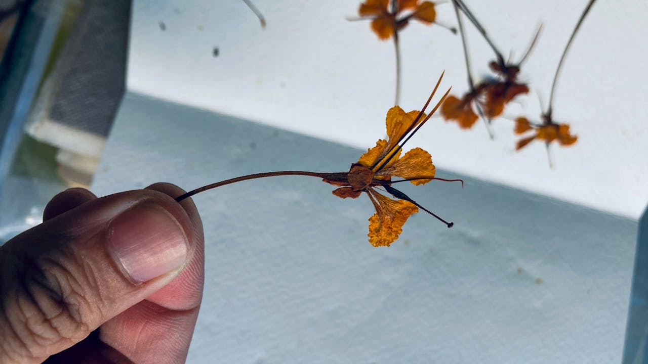 Bụt là hình hài, Bụt là tâm thức | Chương 05