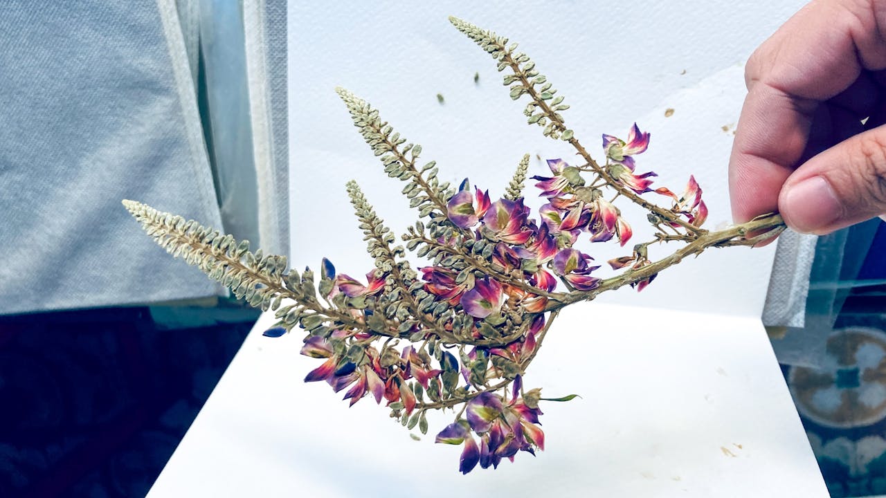 Thám tử lừng danh Conan | Chương 0228