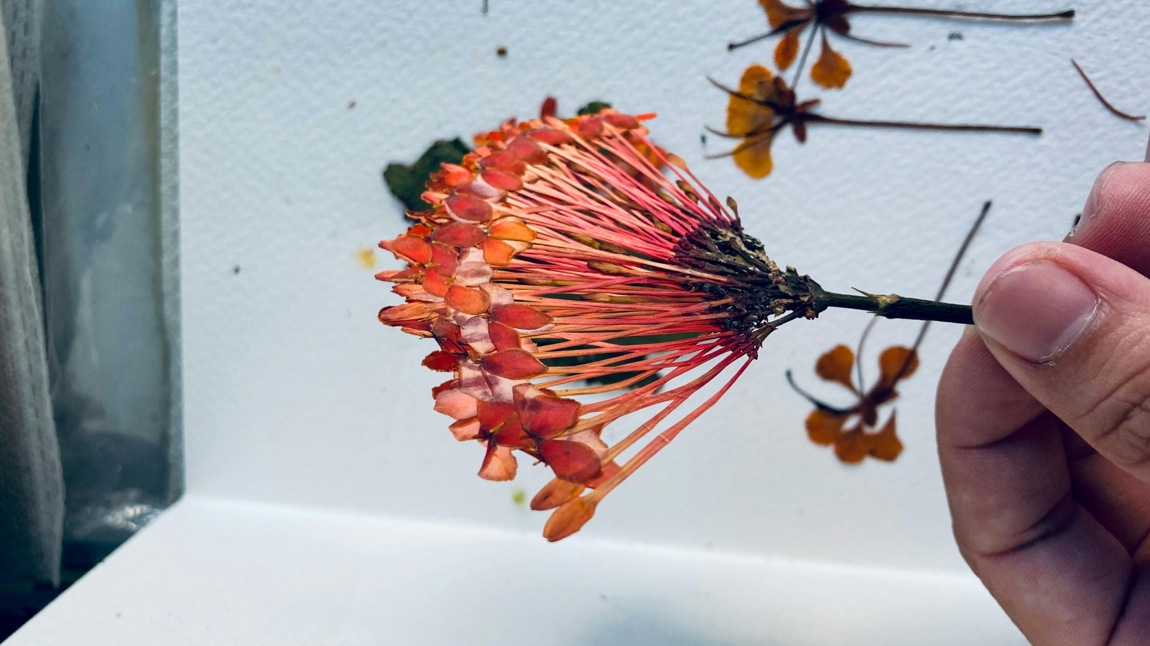 Sợi tơ nhện 151 – thu vien, van hoc, van hoc nhat ban, tuy but, akutagawa ryunosuke, soi to nhen.