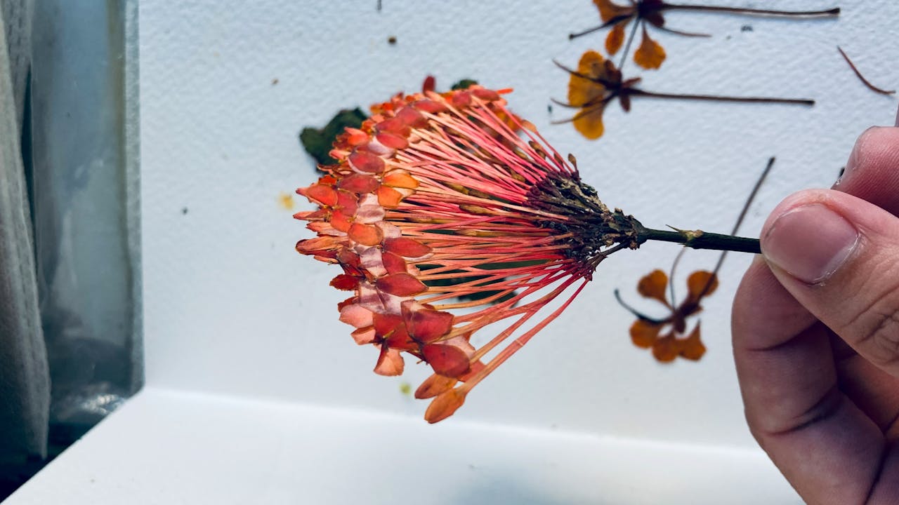 Thám tử lừng danh Conan | Chương 1059