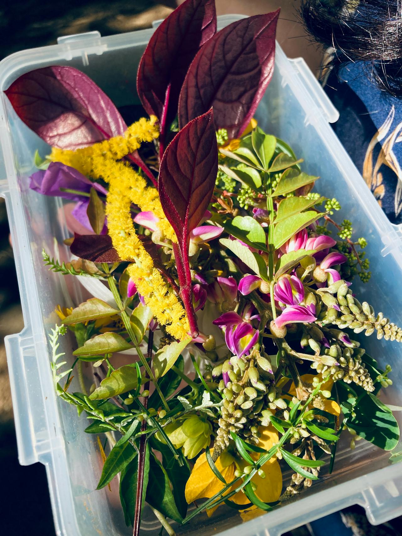 Thám tử lừng danh Conan | Chương 0876