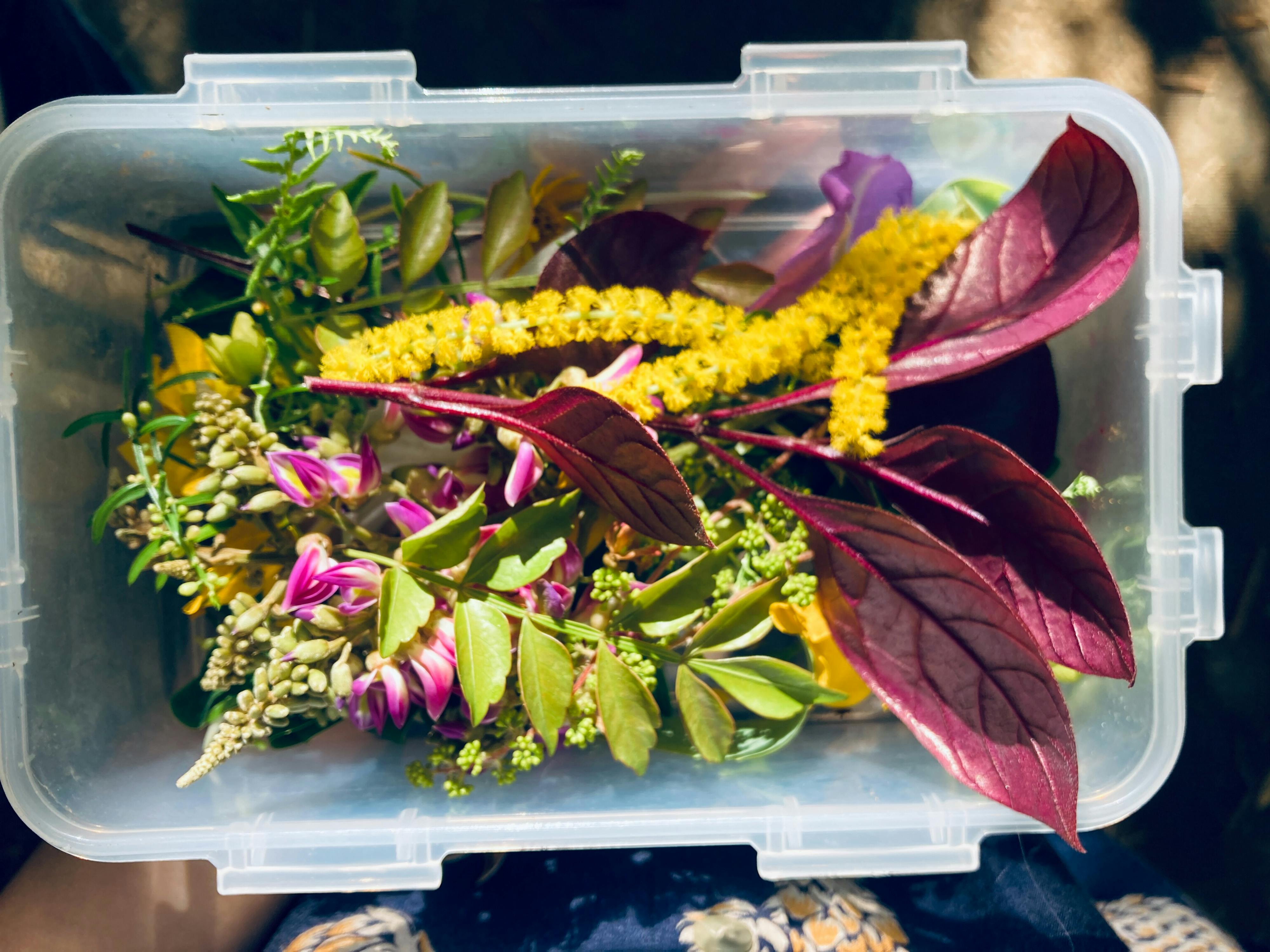 Mộng mị 773 – thu vien, van hoc, van hoc nhat ban, tuy but, mong mi, akutagawa ryunosuke.