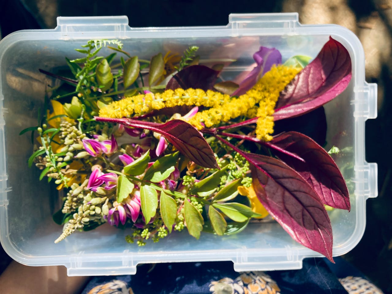 Văn miêu tả là gì?