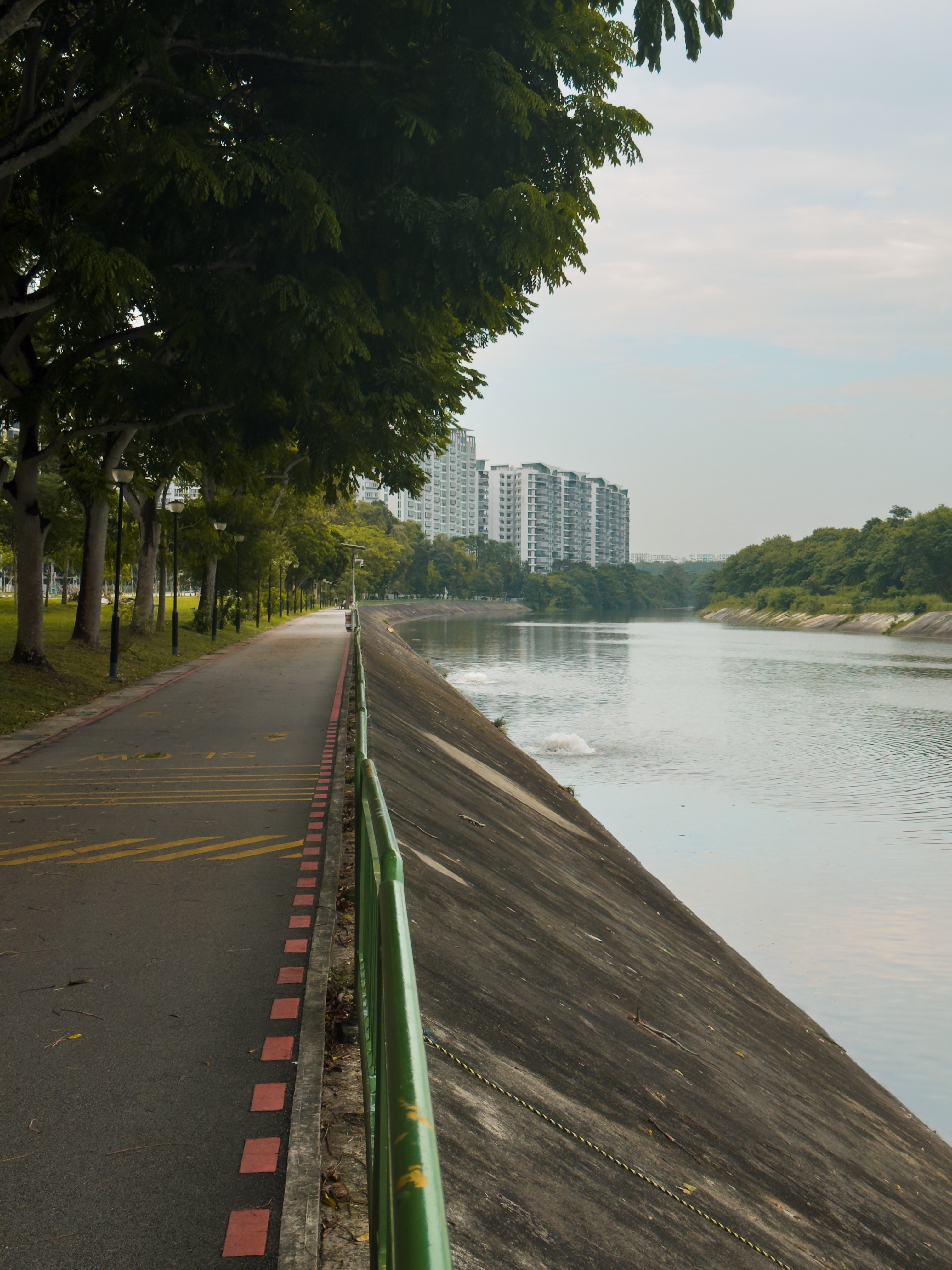 Serene Urban Riverwalk with Pathway and Trees · Free Stock Photo