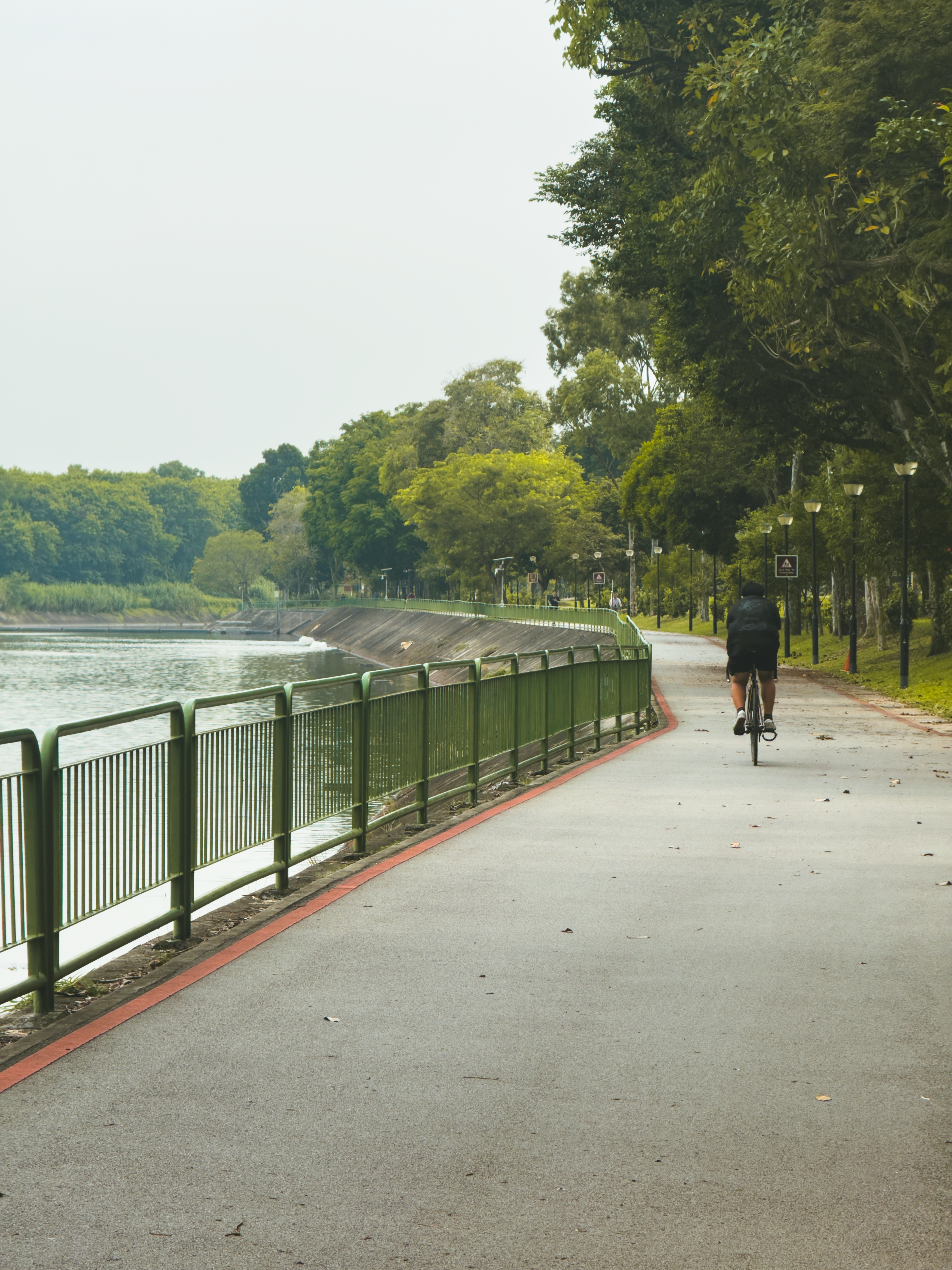 Cyclist Riding Along Peaceful Riverside Path · Free Stock Photo