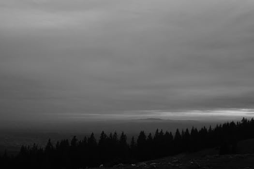 A serene black and white mountain landscape with a forest silhouette under a cloudy sky at dusk.