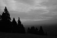 好的，我会按照您的要求进行句子的优化