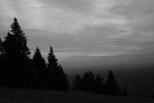 好的，我会按照您的要求进行句子的优化