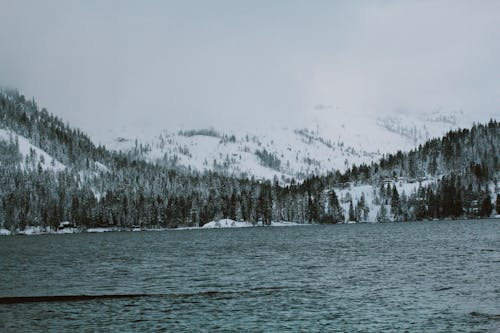 Foto d'estoc gratuïta de fotografia de natura, hivern, llac
