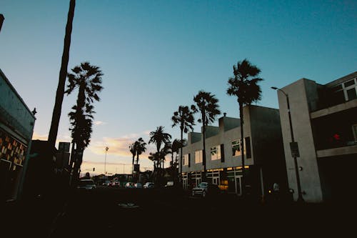 gün batımı, Los Angeles içeren Ücretsiz stok fotoğraf