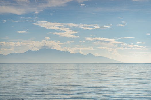 好的，我明白了