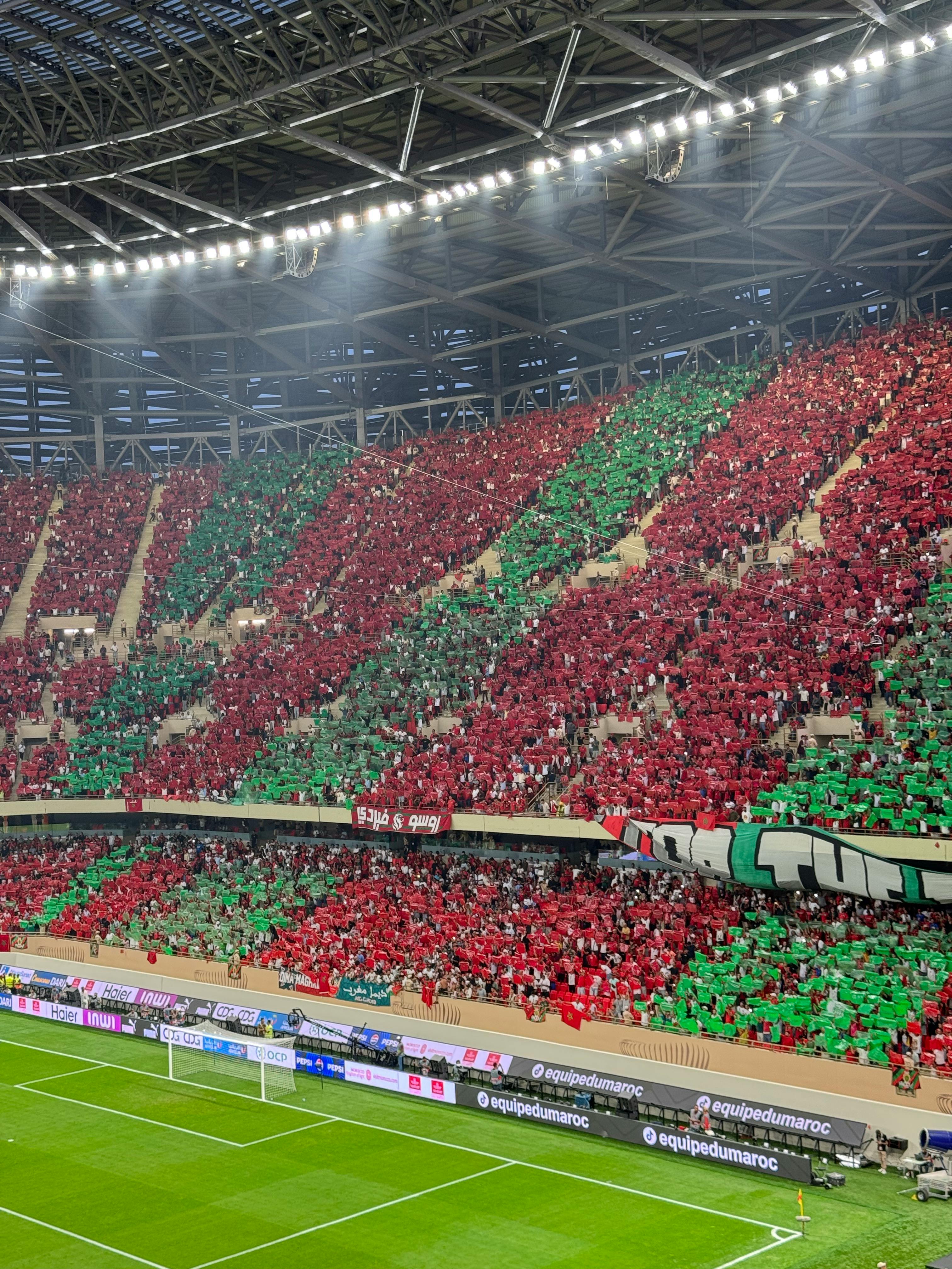 Stadium crowd celebrating a soccer match