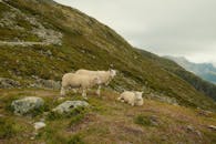 好的，我会按照您的要求进行语句的优化