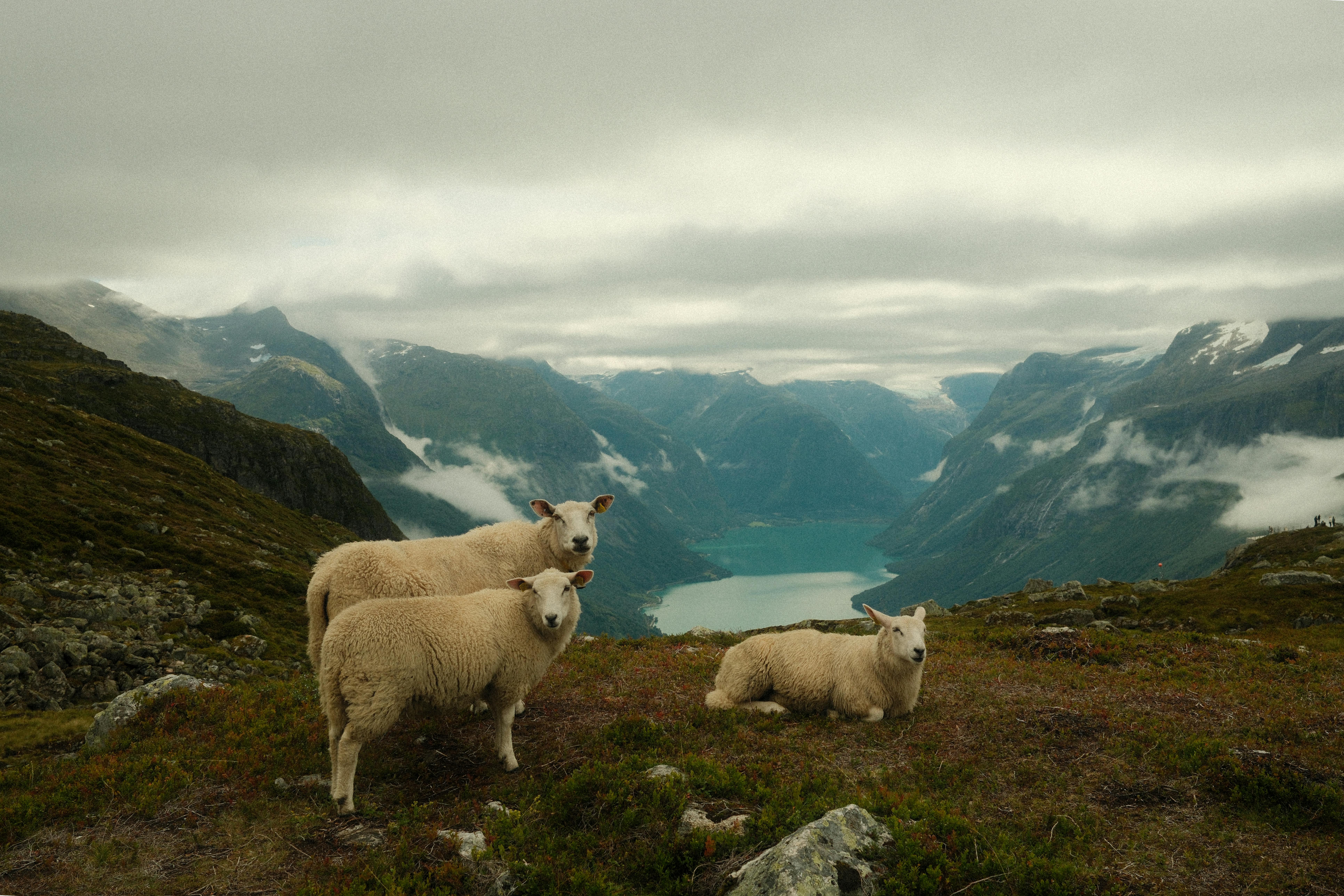 好的，我会根据您的要求进行句子的调整
