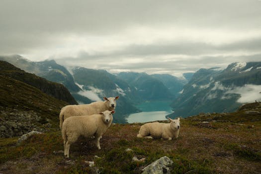 好的，我会根据您的要求进行句子的调整
