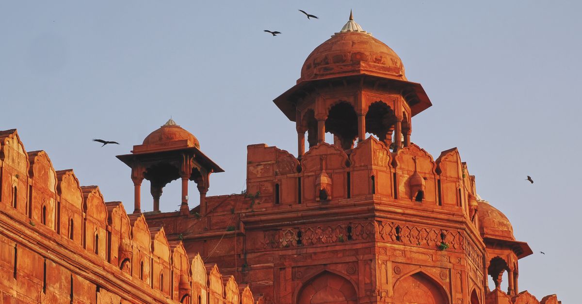 Delhi This Weekend: Your Complete Guide to the Best Local Experiences Right Now