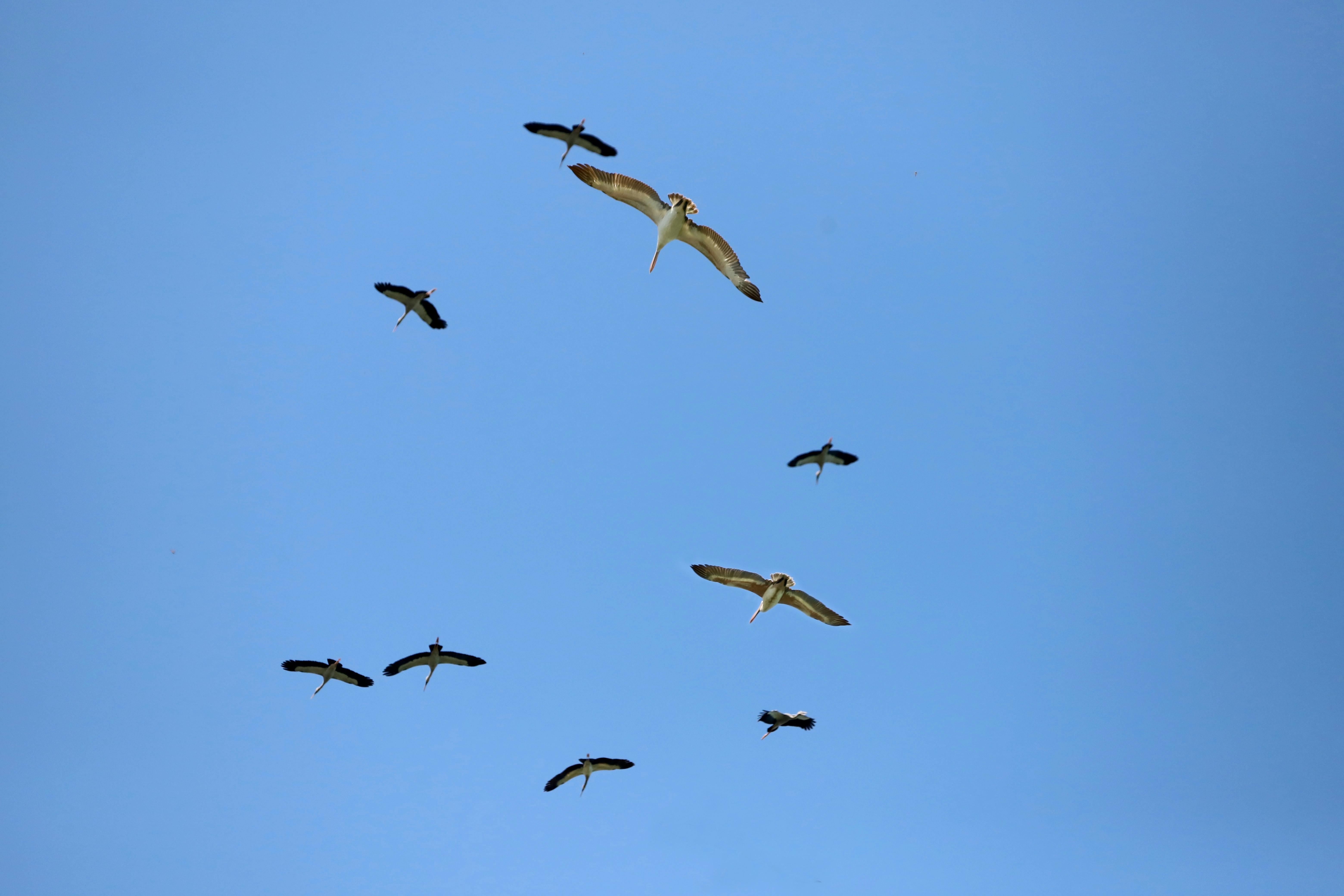 好的，我会遵循您的指示进行文本编辑