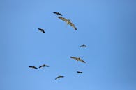 好的，我会遵循您的指示进行文本编辑