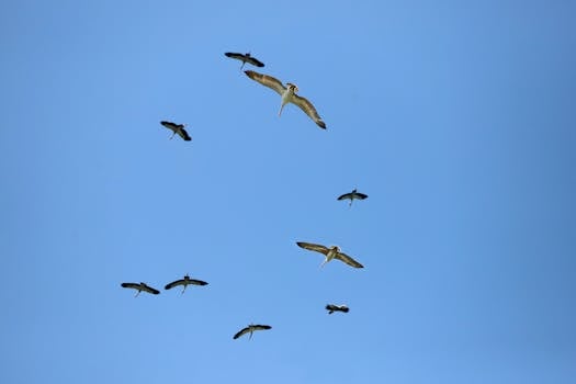 好的，我会遵循您的指示进行文本编辑