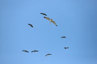 好的，以下是优化后的内容