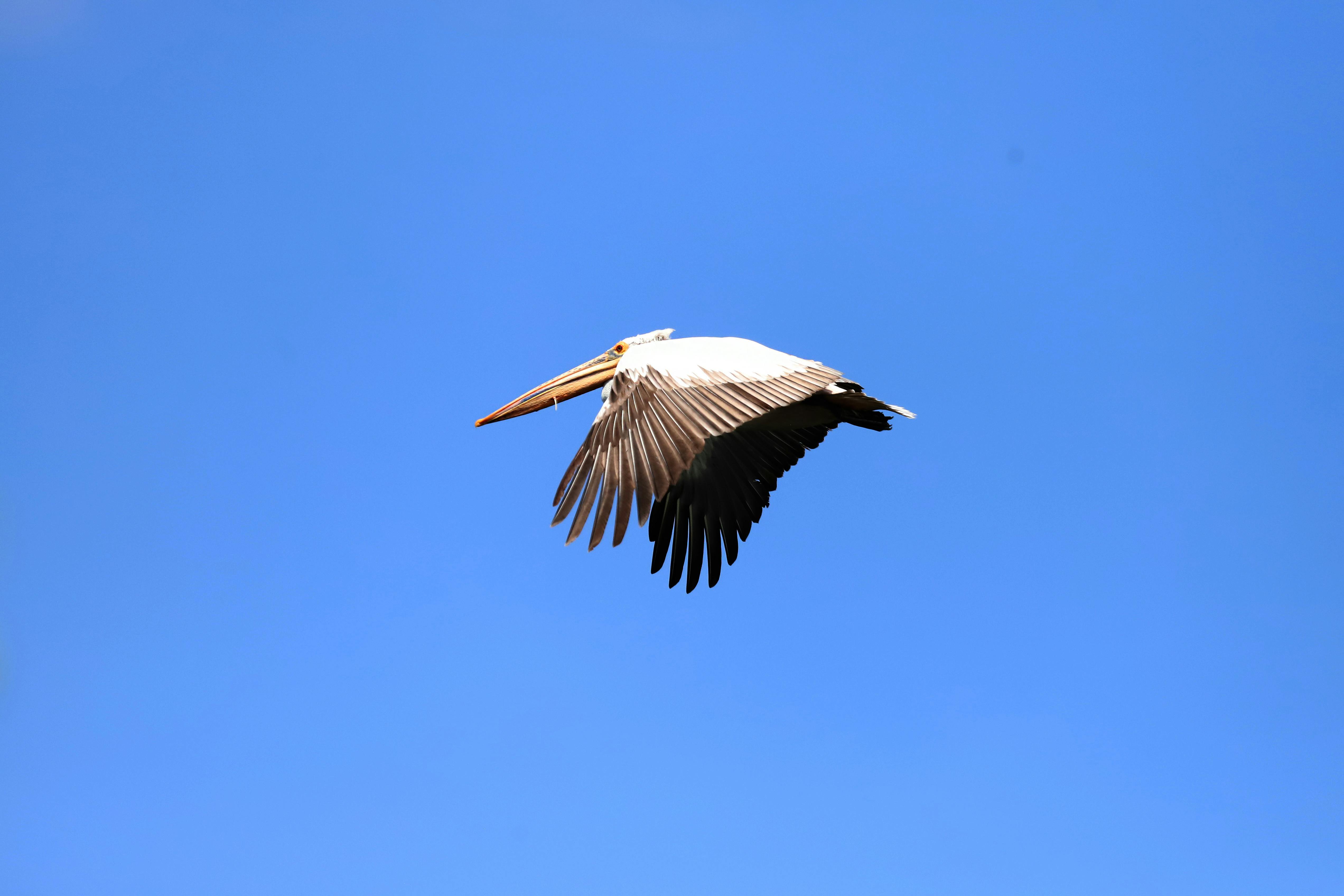 您提供的内容似乎不完整或未包含具体句子，因此我无法直接进行优化