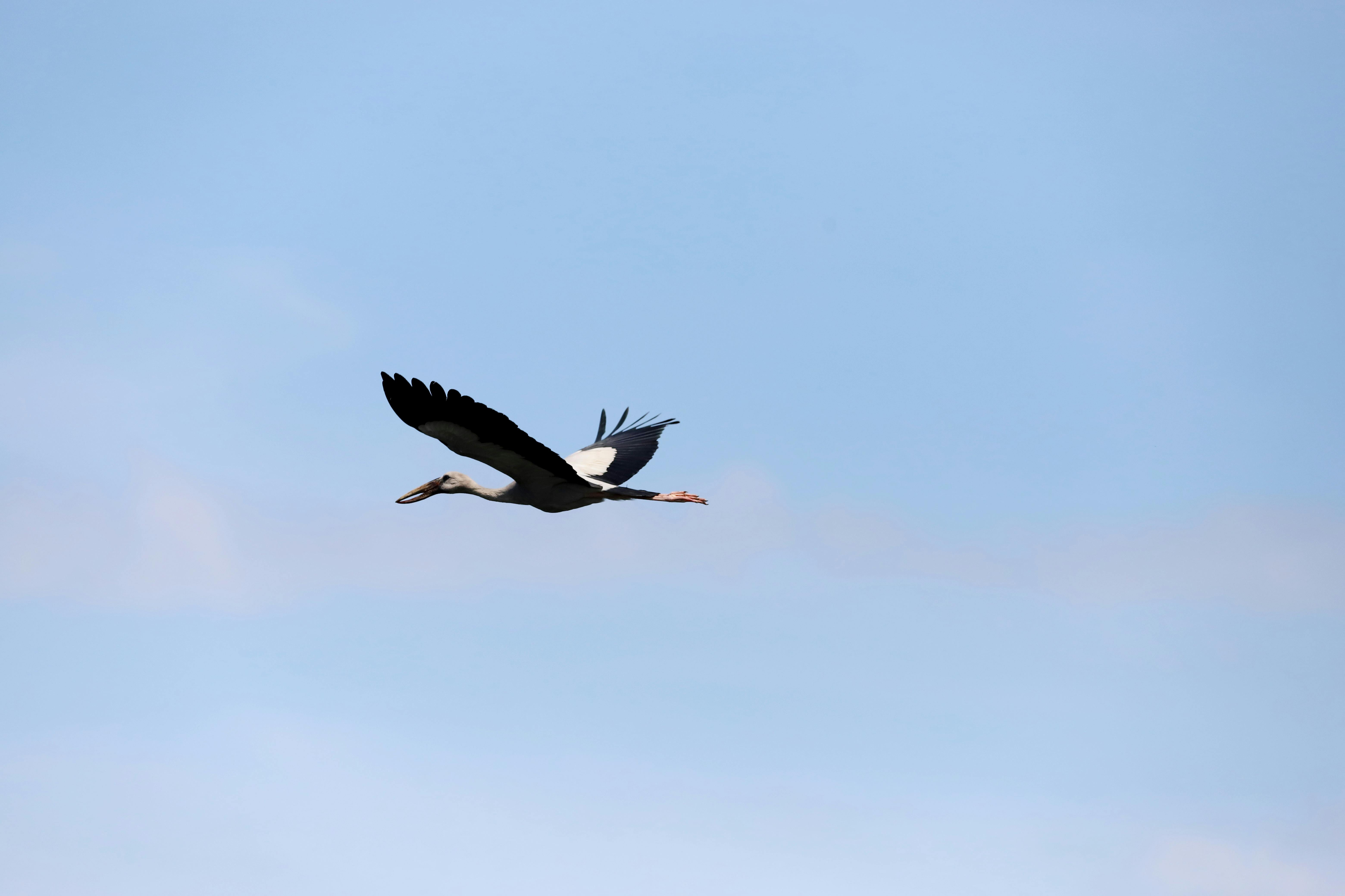 好的，我会按照您的要求进行句子的调整