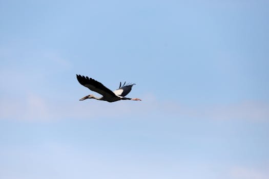 好的，我会按照您的要求进行句子的调整