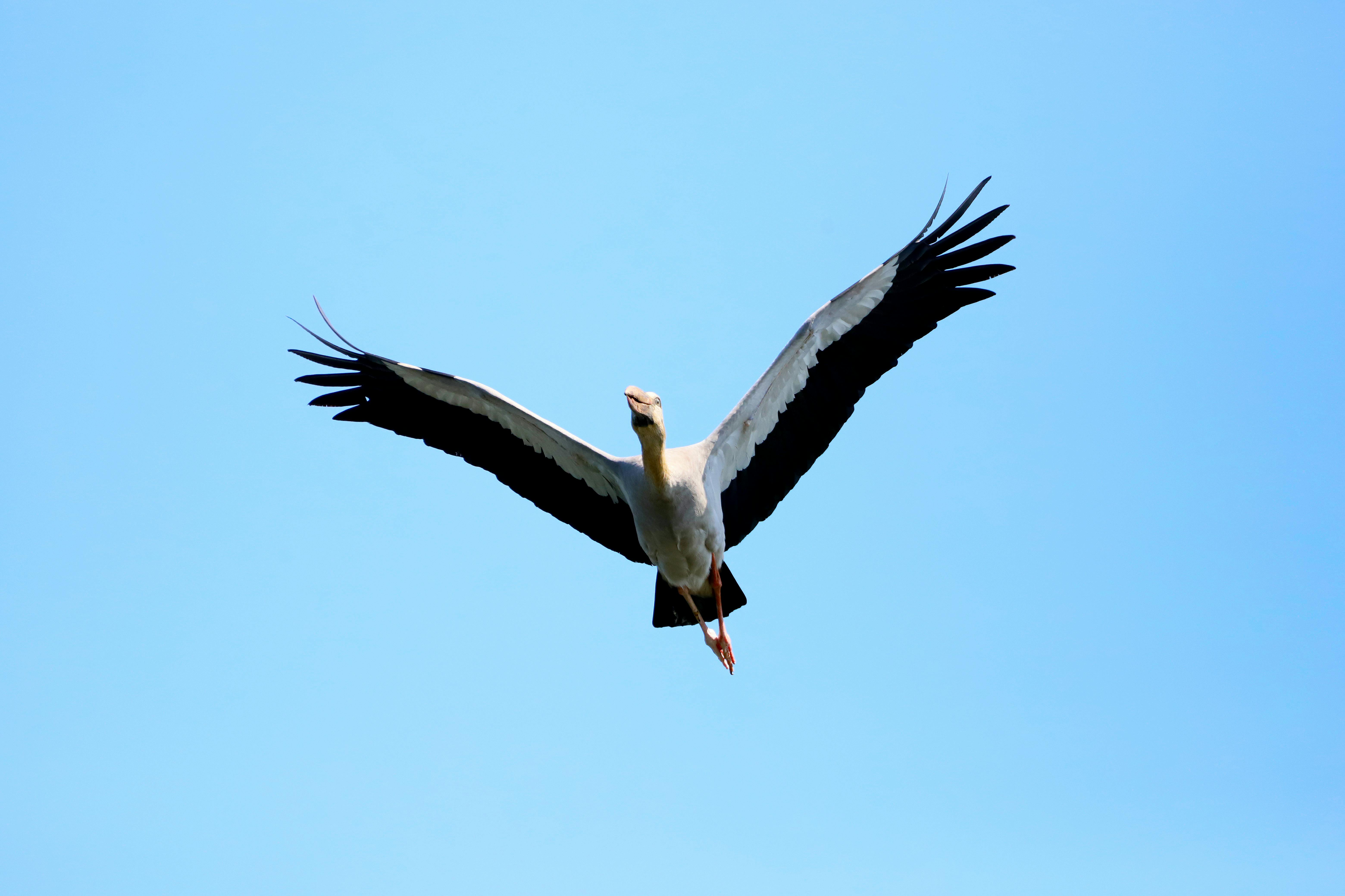 您的输入似乎未包含需要优化的句子，请提供具体文本以便进行相应的修改