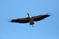 好的，我会按照您的要求进行语句的优化