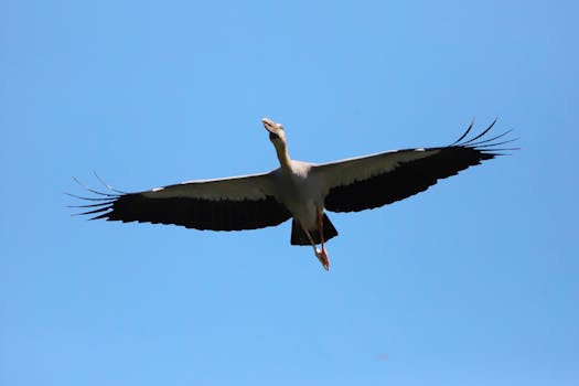 好的，我会按照您的要求进行语句的优化