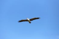 原句：
你是一名专业的文本编辑，擅长纠正由其他语言直译成中文时产生的不自然语序