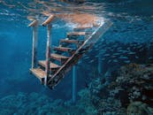 水下楼梯通向大海，附近有鱼游动，营造出宁静的水下场景