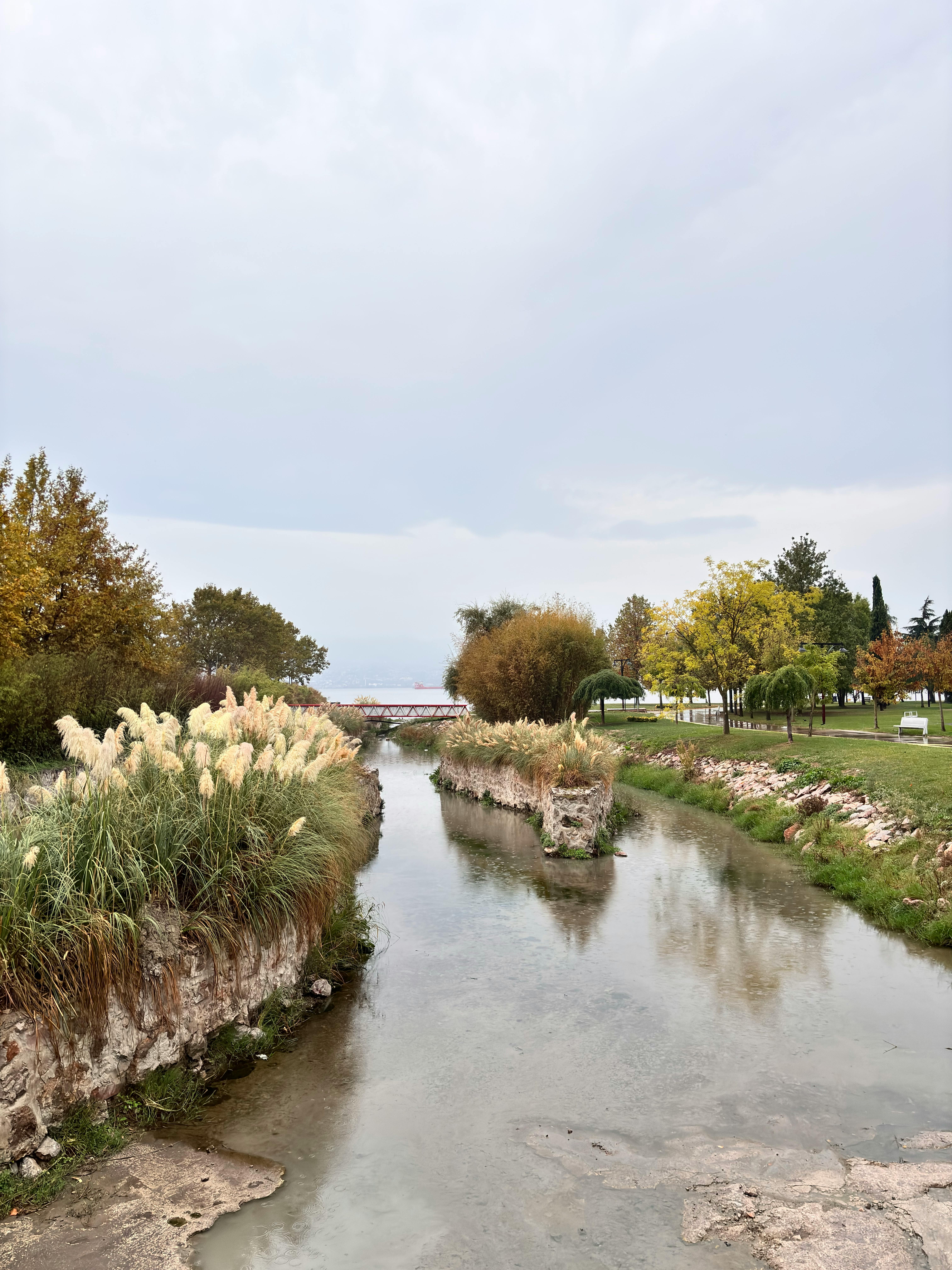 宁静的河景，植物繁茂，天空阴沉，非常适合自然爱好者