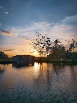 宁静的湖面倒映着美丽的日落，岸边树木与质朴小屋的剪影清晰可见