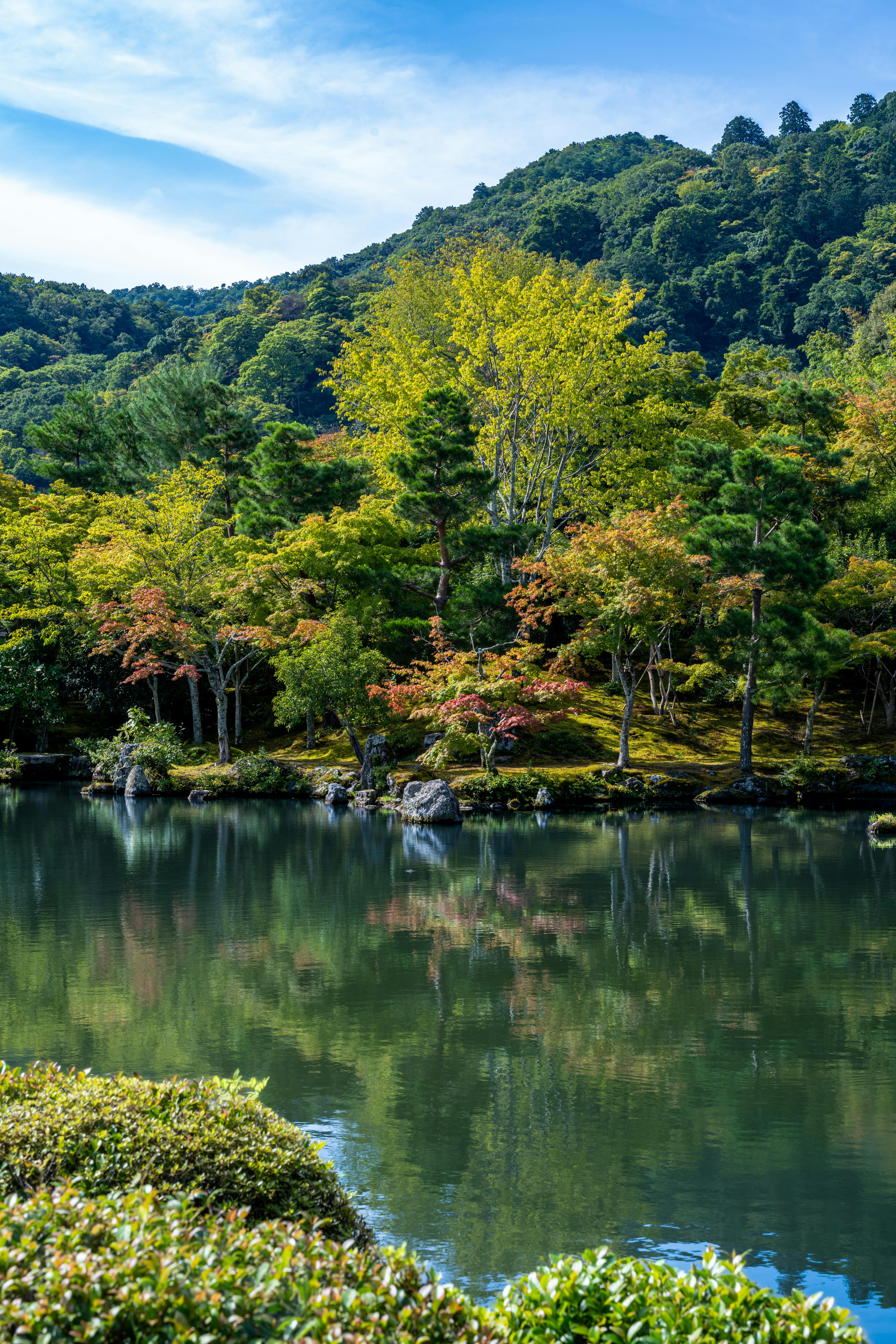 原句：
你是一名专业的文本编辑，擅长纠正由其他语言直译成中文时产生的不自然语序