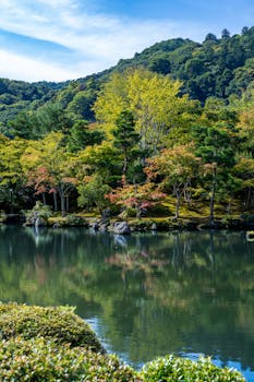 原句：
你是一名专业的文本编辑，擅长纠正由其他语言直译成中文时产生的不自然语序