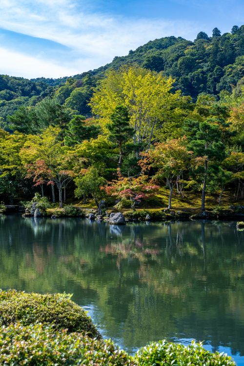 Free Serene autumn landscape of a pond and colorful trees in Kyoto, Japan. Stock Photo