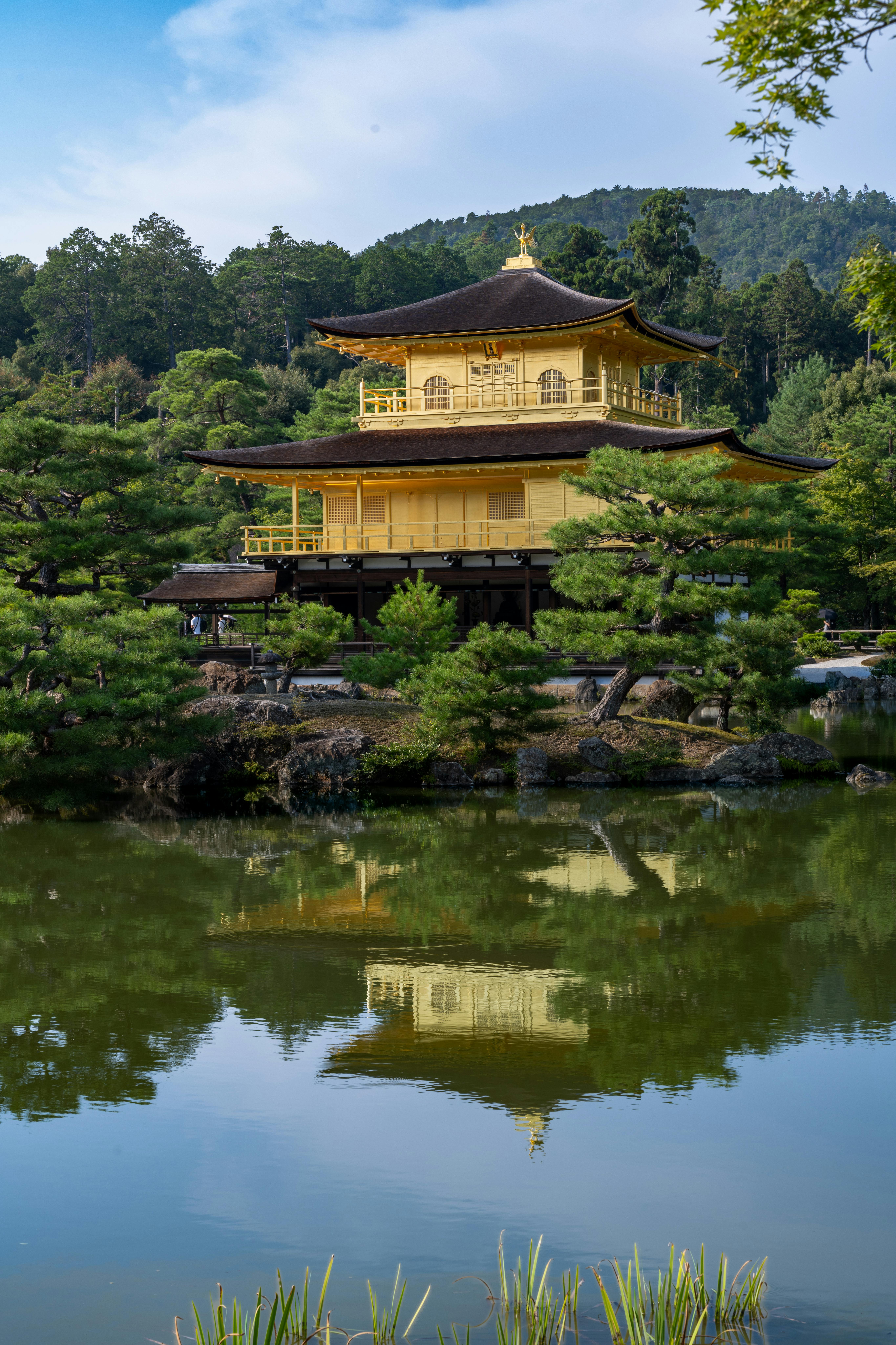 您的请求未提供具体文本，因此我无法对其进行优化