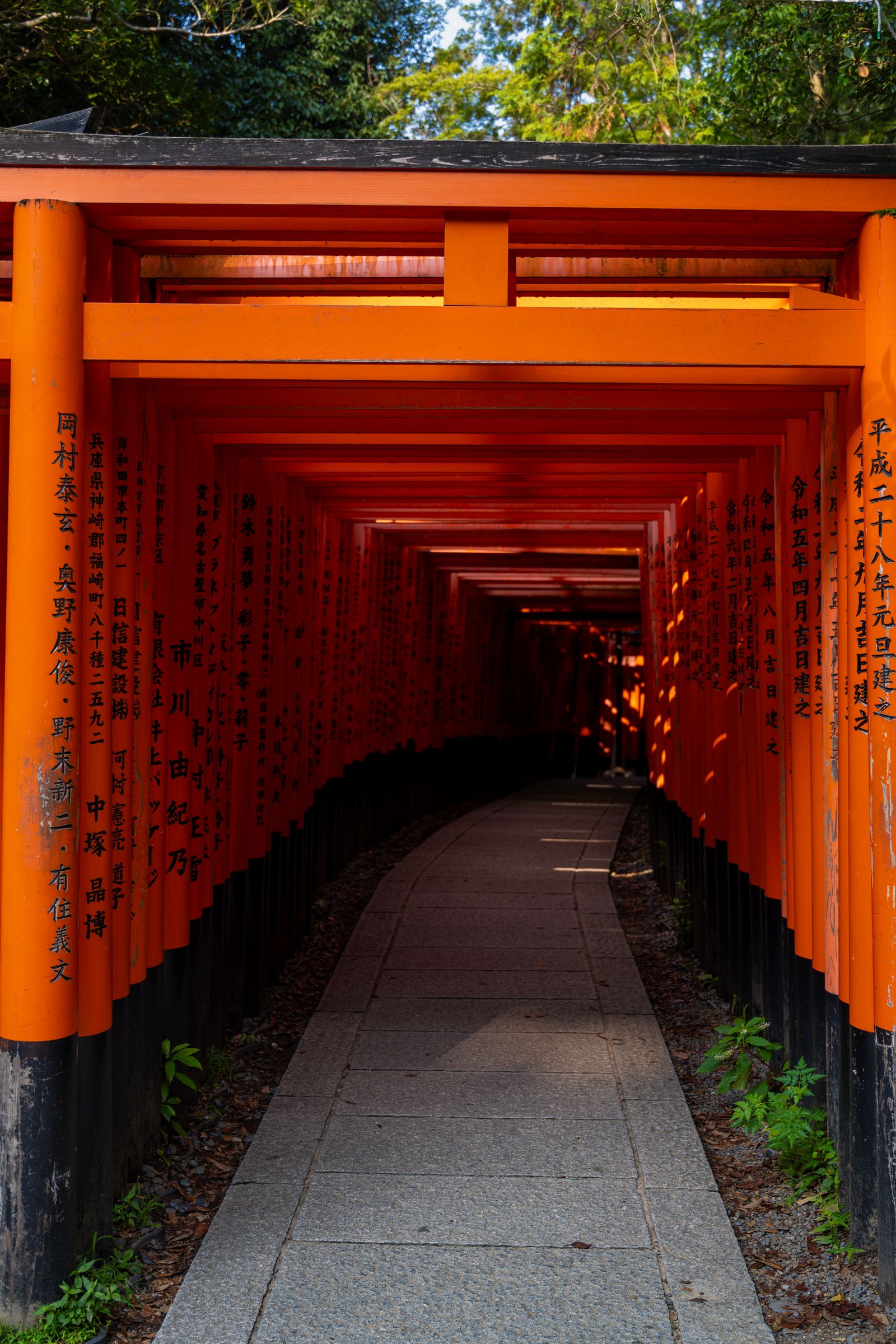 Red Torii Gate Pathway at Fushimi Inari Taisha · Free Stock Photo