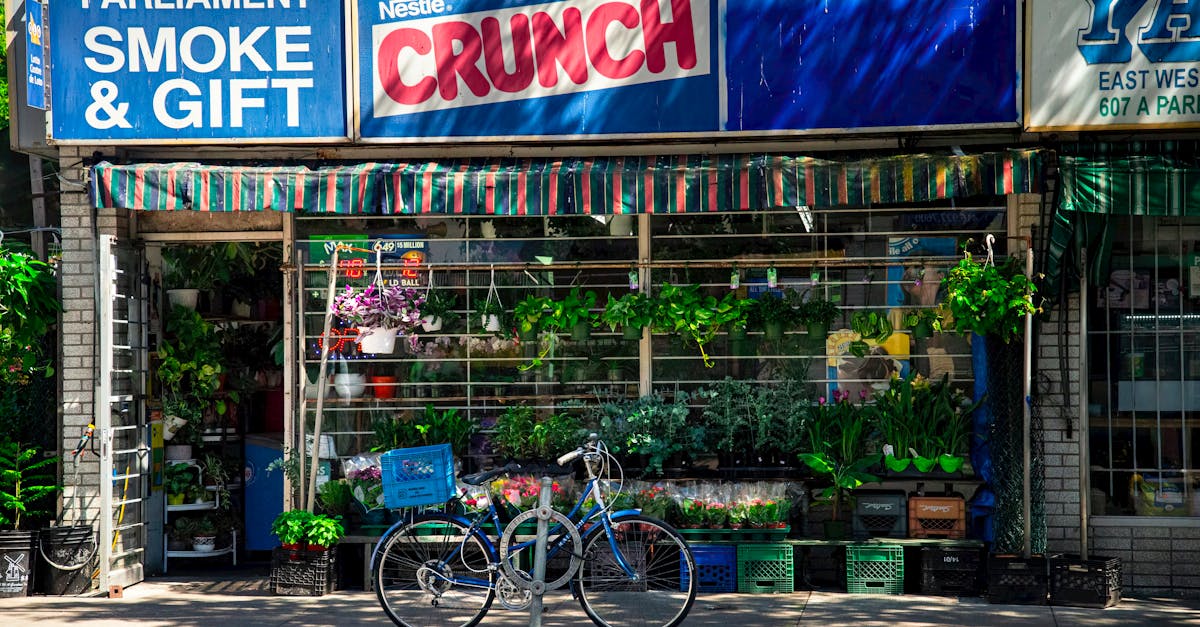 生活:尼古拉斯·羅伊:不怕多倫多市場,壓力造就成功