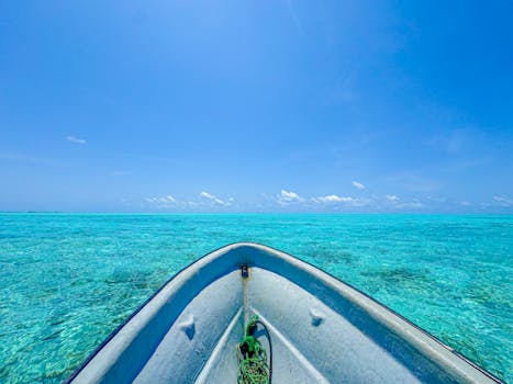 您提供的信息“海”是一个形容词，用来描述海洋