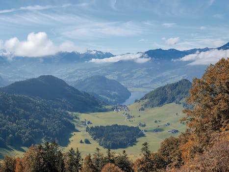 好的，我会按照您的要求进行句子的优化