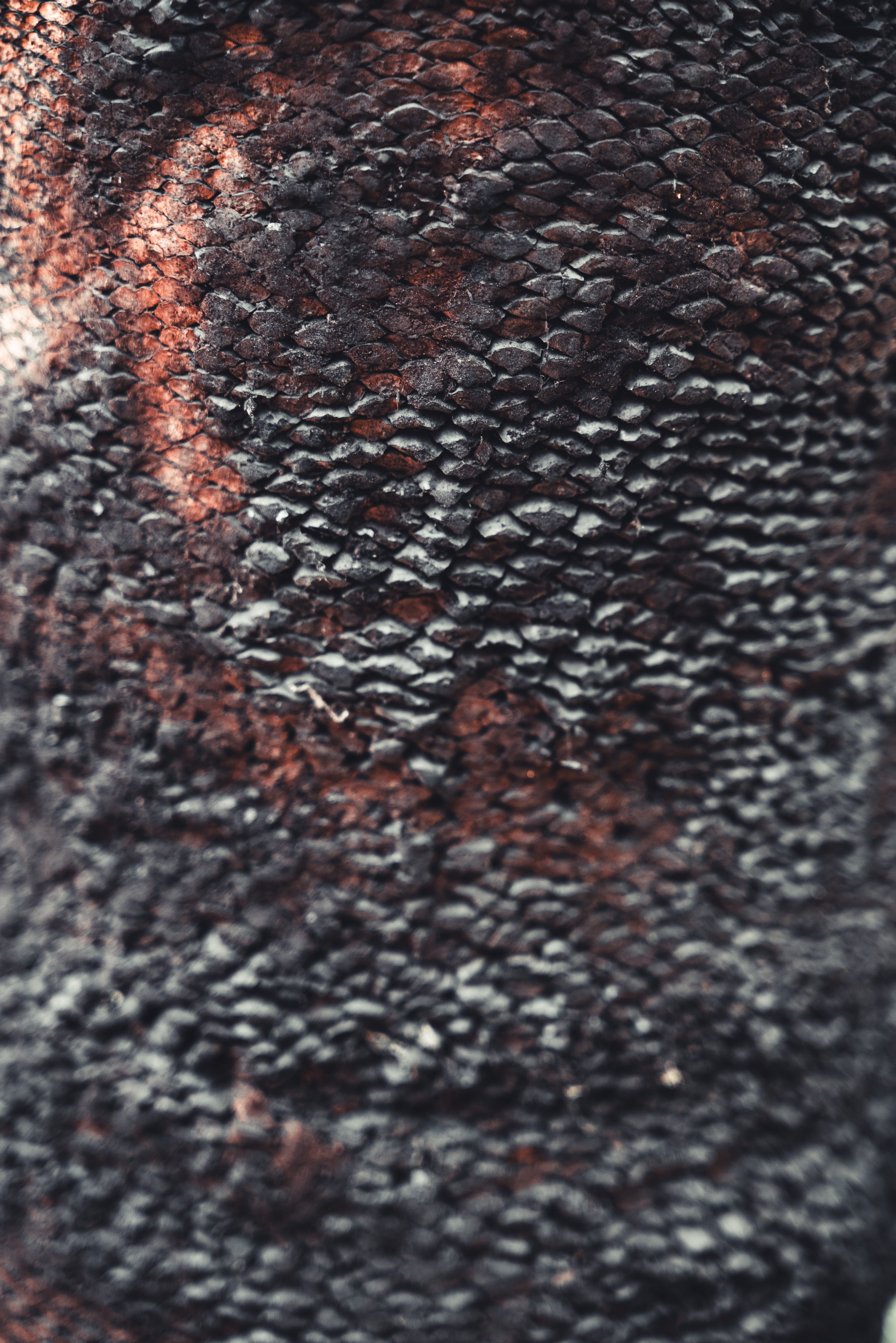 Fotomural Primer plano detallado de la textura de la corteza de árbol carbonizada, mostrando los patrones y colores intrincados.