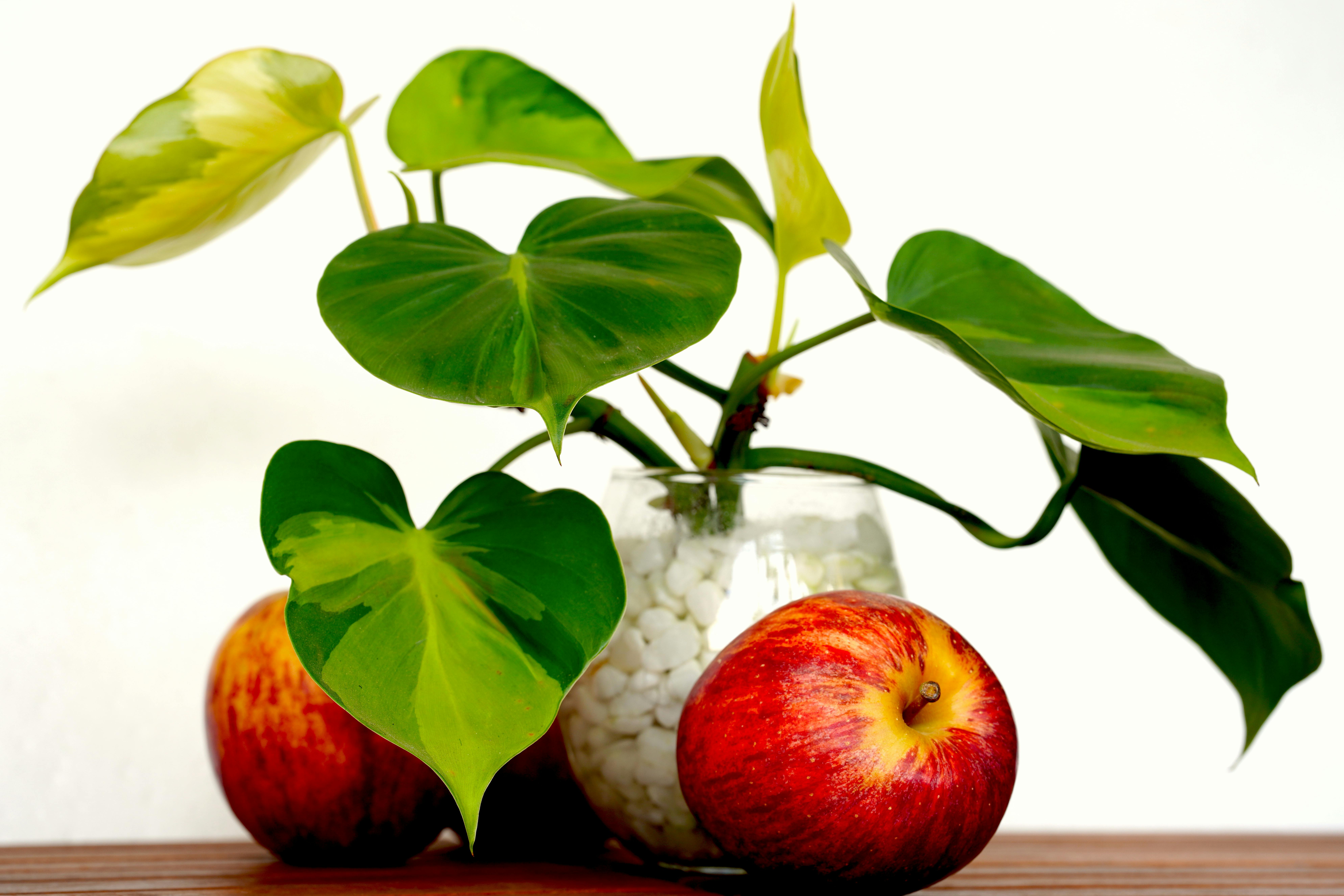 Embrace a Healthy Lifestyle: Tips and Benefits