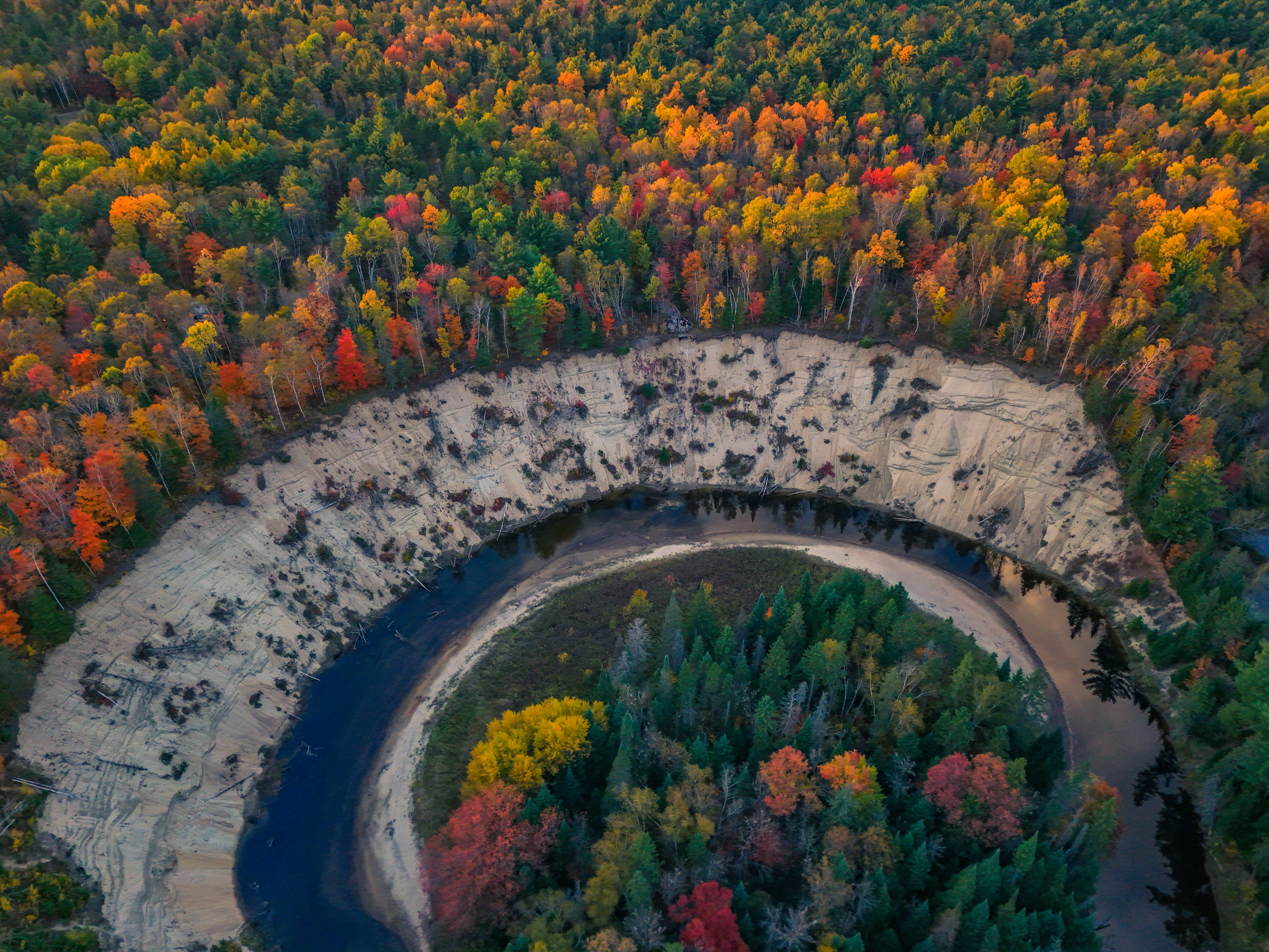 Scenic Aerial View of Autumn Forest Bend · Free Stock Photo