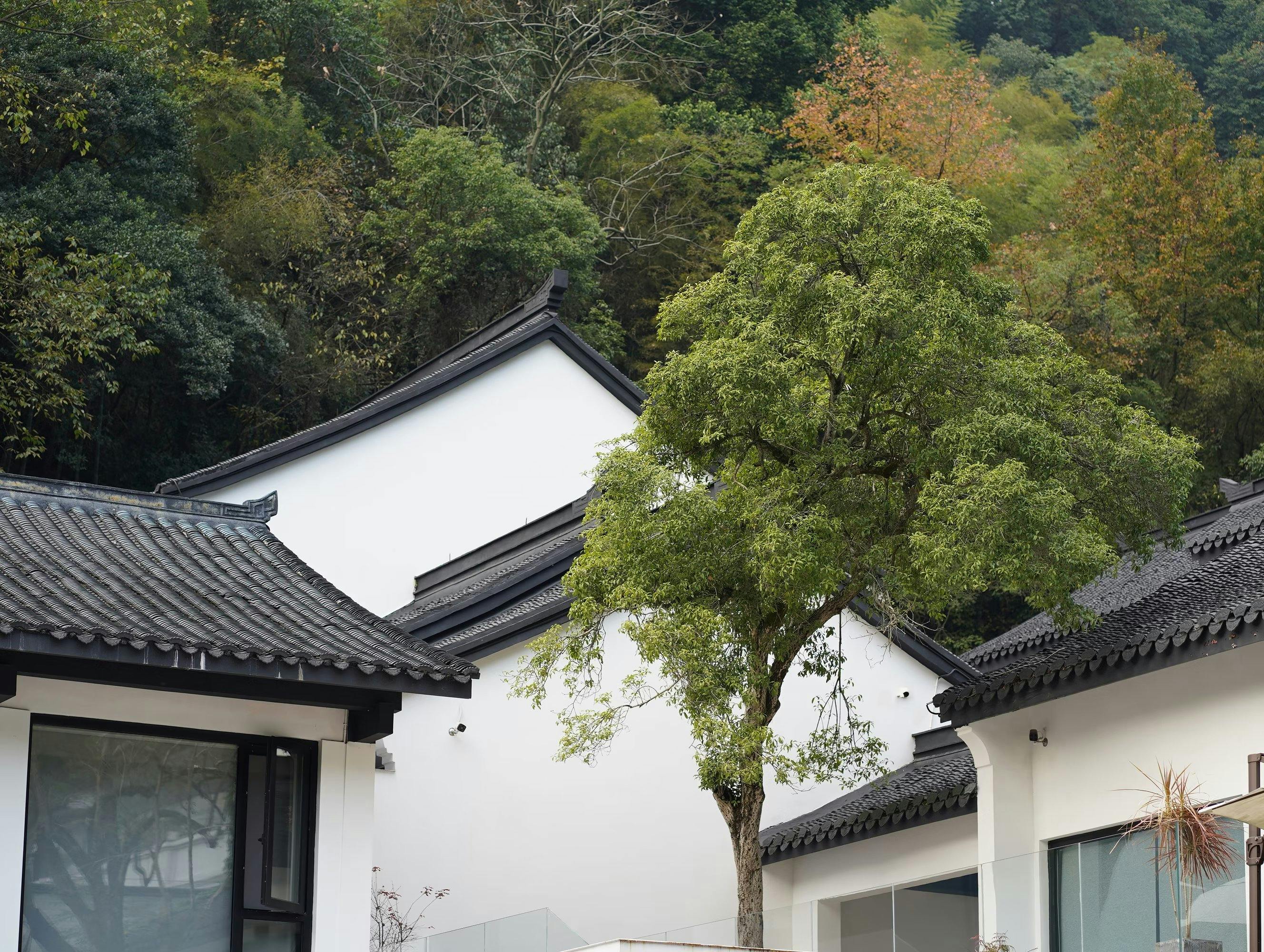 Recreación de Jardines Babilónicos: Diseño, Hidrología y Botánica Contemporánea