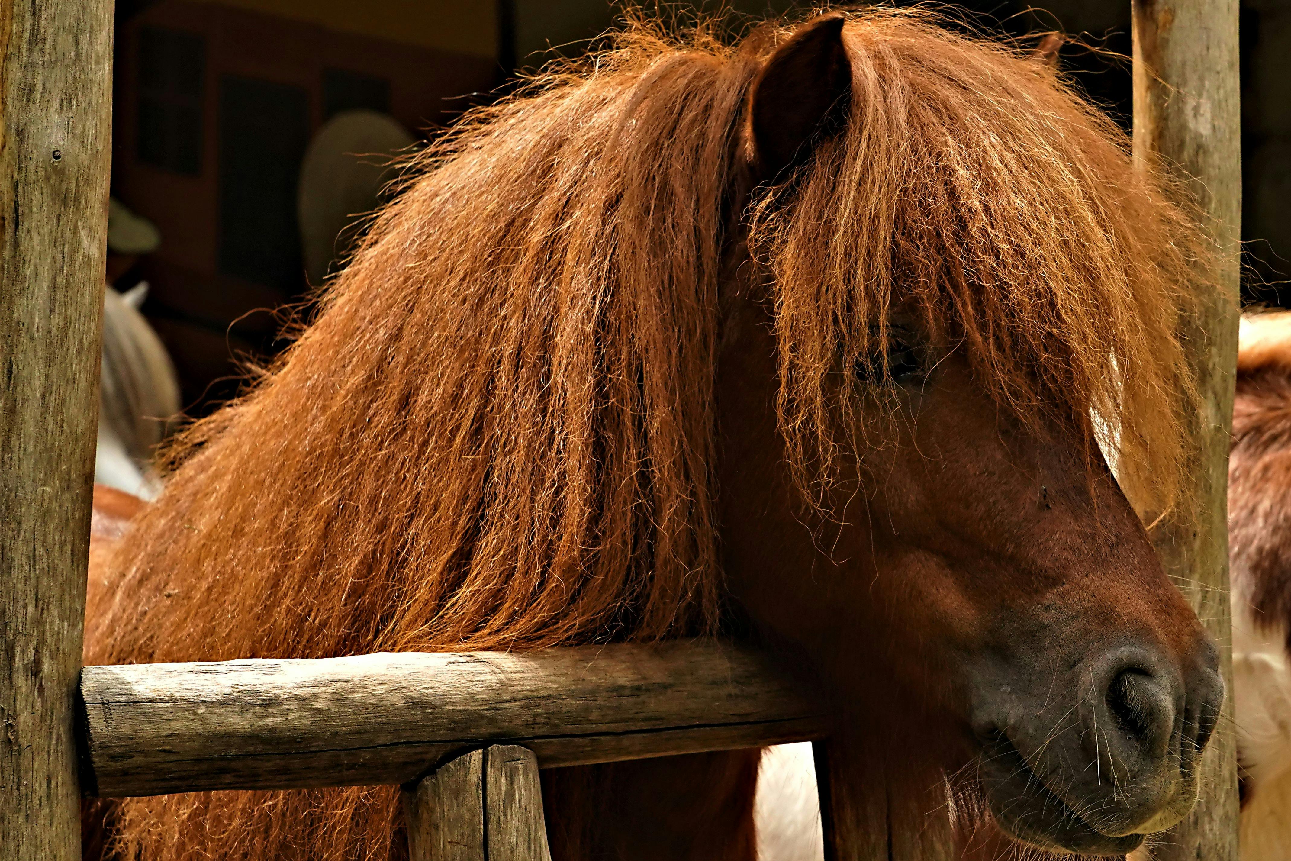 生活：前國際名模北川遙轉戰成人影業，172公分E級身材引關注
