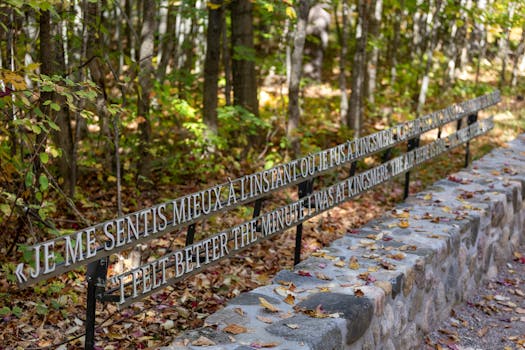 Pathway at Kingsmere in Chelsea with autumn foliage and an inspiring quote bench.